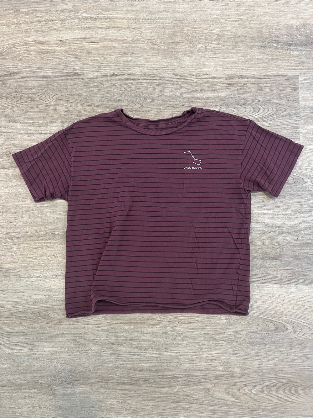 American Eagle Outfitters Burgundy Striped Short Sleeve Tee